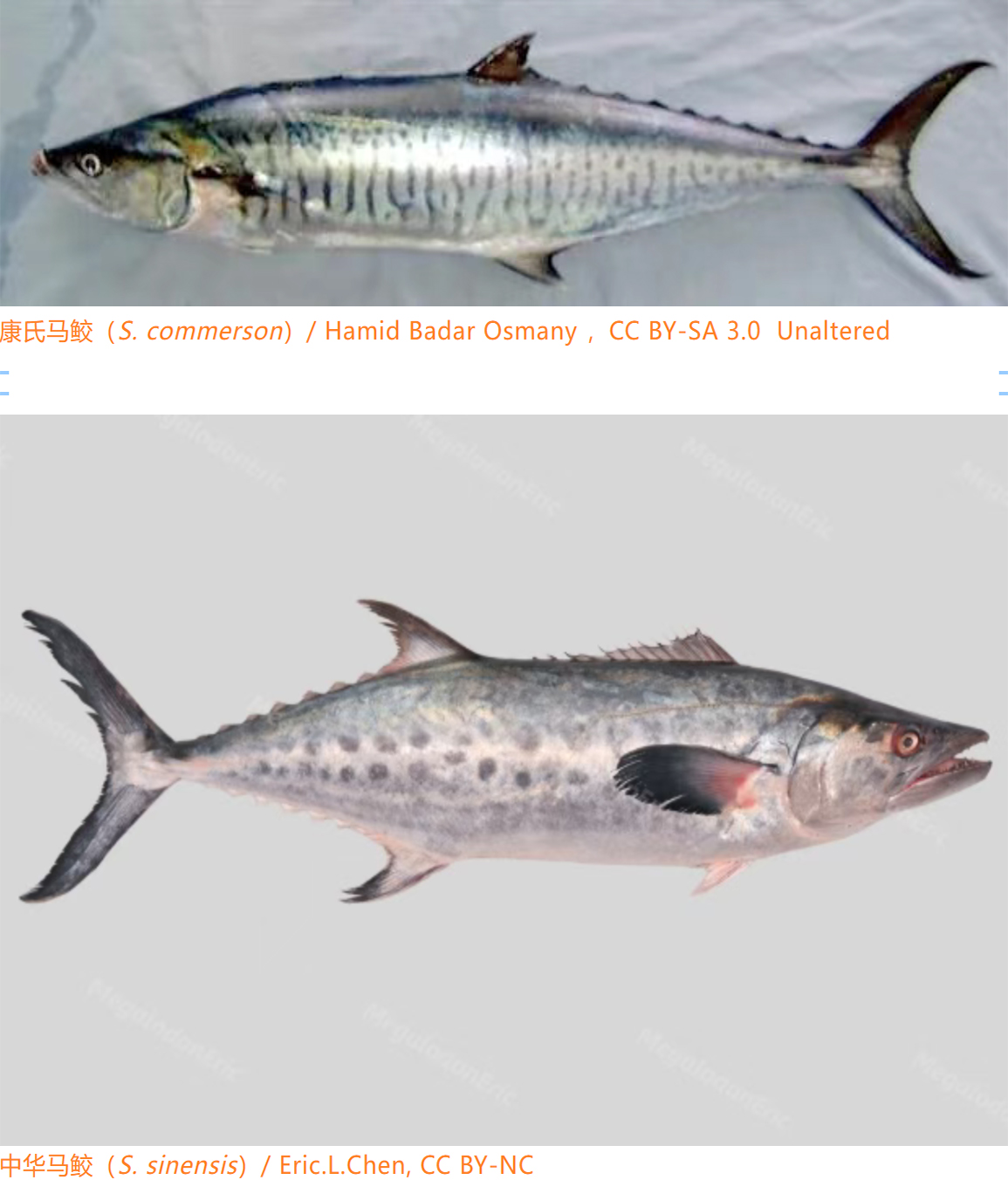 中国PG电子官方网站