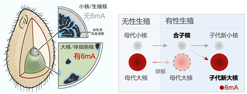 中国PG电子官方网站