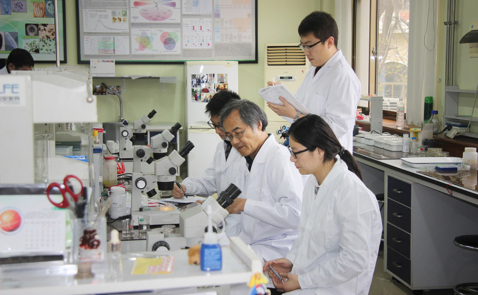 中国PG电子官方网站
