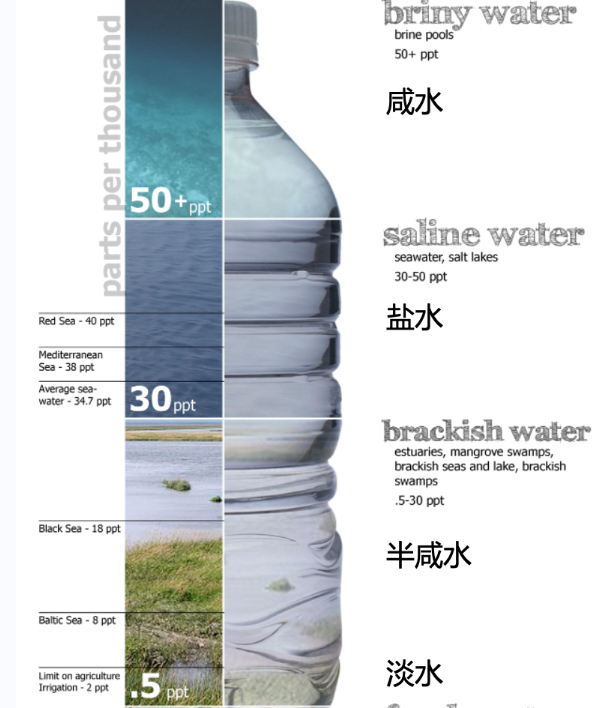 中国PG电子官方网站