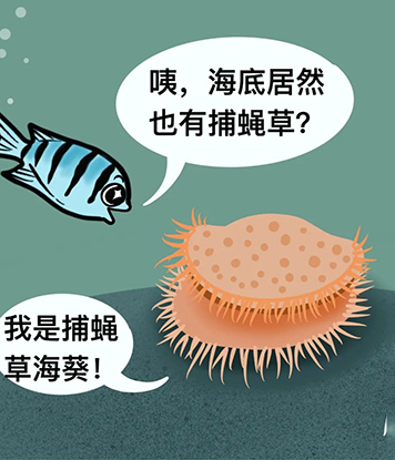 中国PG电子官方网站