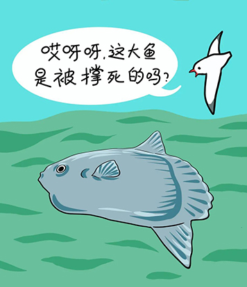 中国PG电子官方网站
