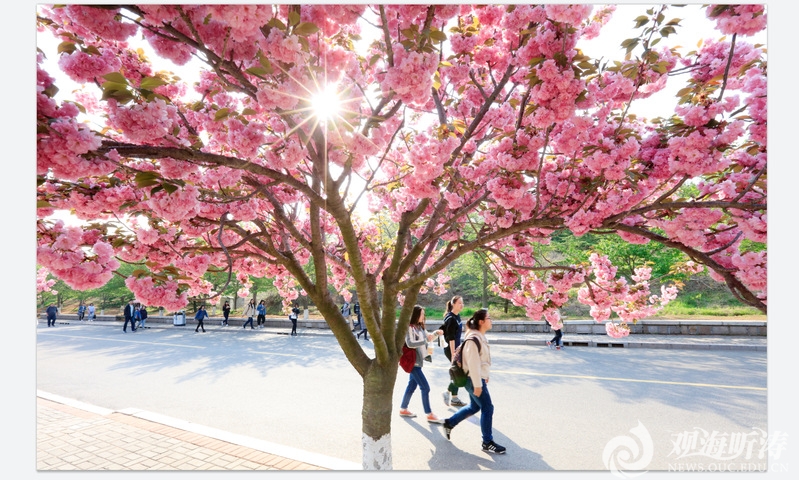 中国PG电子官方网站