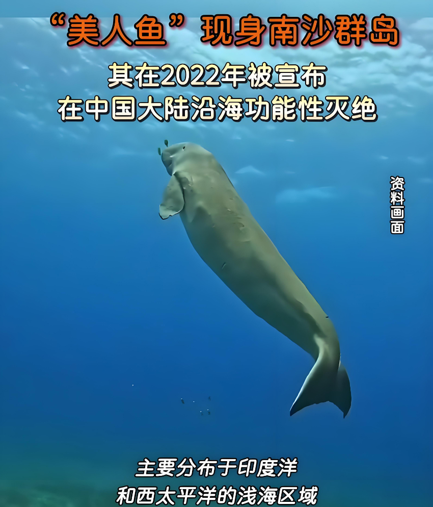 中国PG电子官方网站